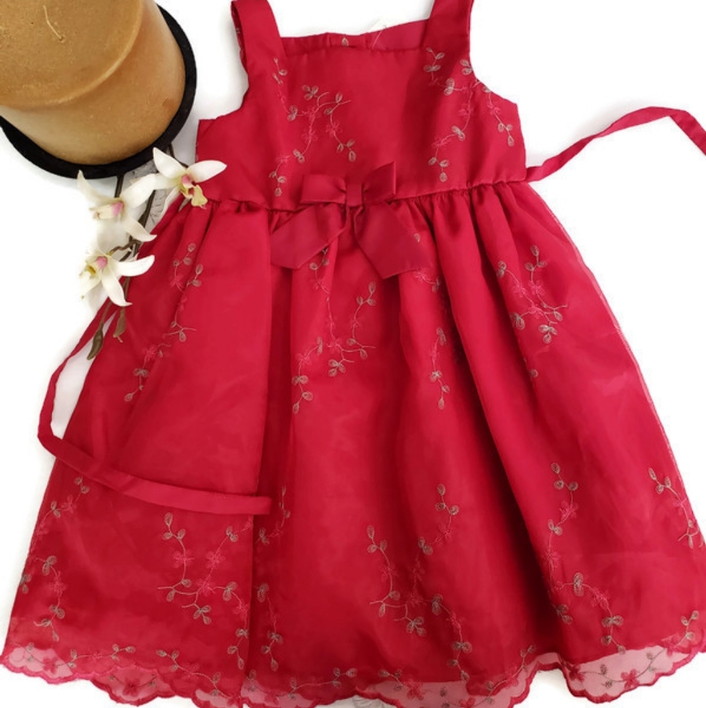 0803 Girl's Youngland Embroidery Organza formal dress